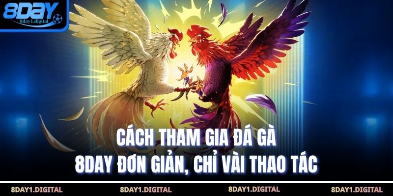 Cách tham gia đá gà 8day đơn giản, chỉ vài thao tác