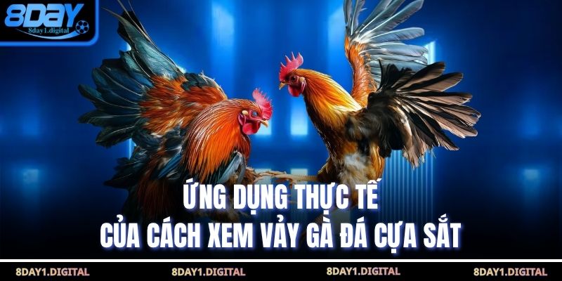 Ứng dụng thực tế của cách xem vảy gà đá cựa sắt