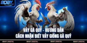 Vảy Gà Quý - Hướng Dẫn Cách Nhận Biết Vảy Giống Gà Quý